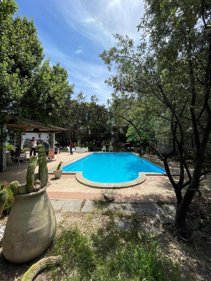 Loft Mansardato Con Giardino E Piscina In Villa Privata Loft With Garden And Swimming Pool In A Private Villa Sestu Zewnętrze zdjęcie